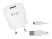 DLH DY-AU1870 - Adaptateur secteur - 5 Watt - 1 A (USB) - sur le câble : Micro-USB - blanc DY-AU1870